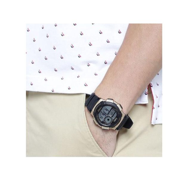 CA-AE-1000W-1A3-02