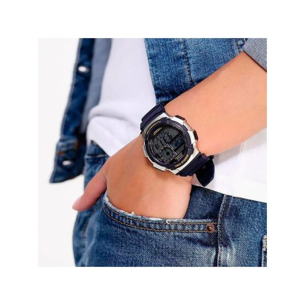 CA-AE-1000W-2A-02