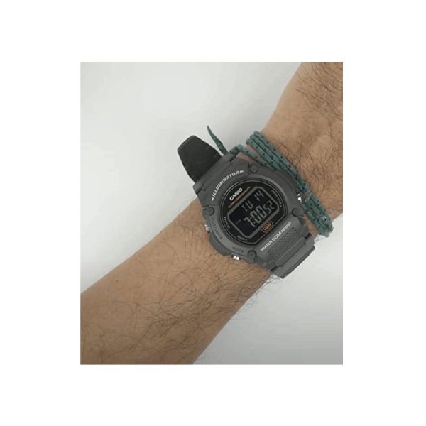 CA-W-219H-8BV-02