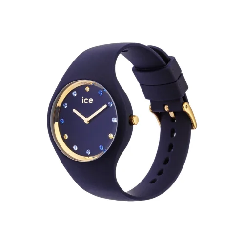 icw-ic 016301-02