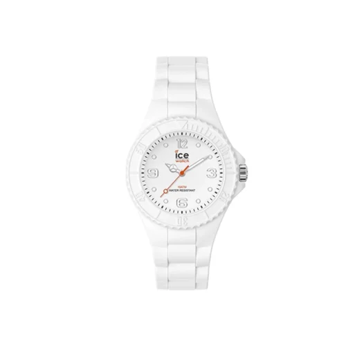 icw-ic 019138-01