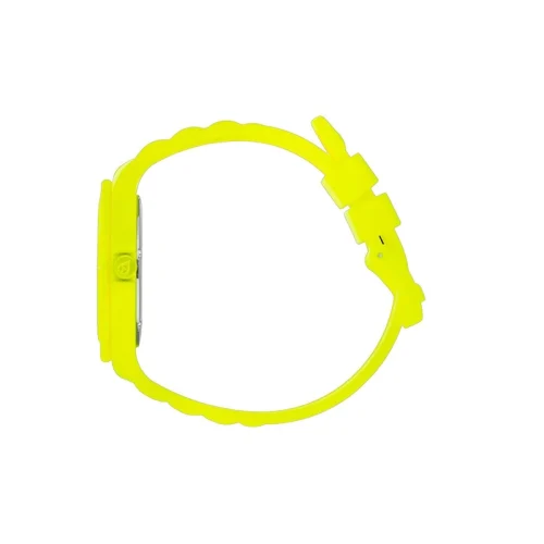 icw-ic 019161-02