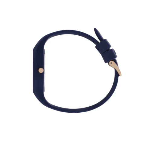 icw-ic 020641-02