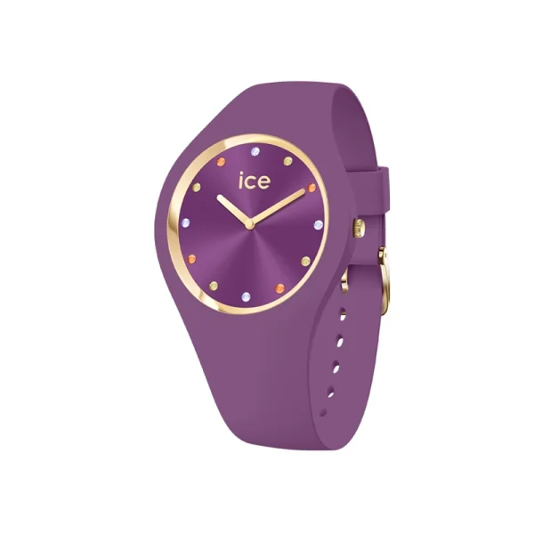 icw-ic 022286-01