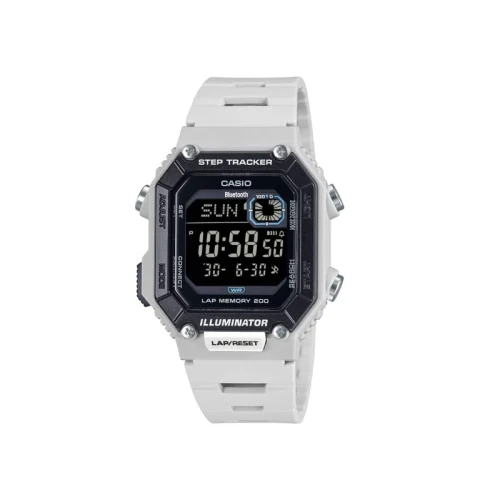ca-WS-B1000-8BVDF-01