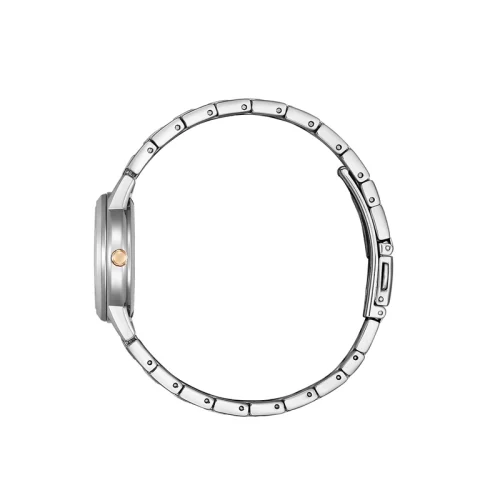 ci-FE1244-72A-03