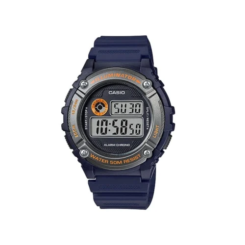 ca-W-216H-2BVDF-01