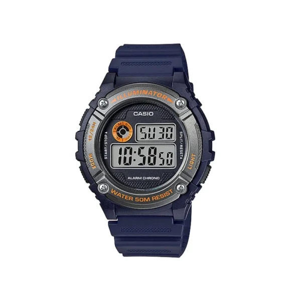 ca-W-216H-2BVDF-01