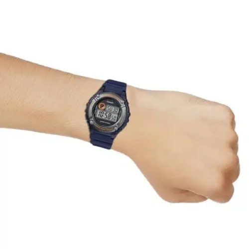 ca-W-216H-2BVDF-03