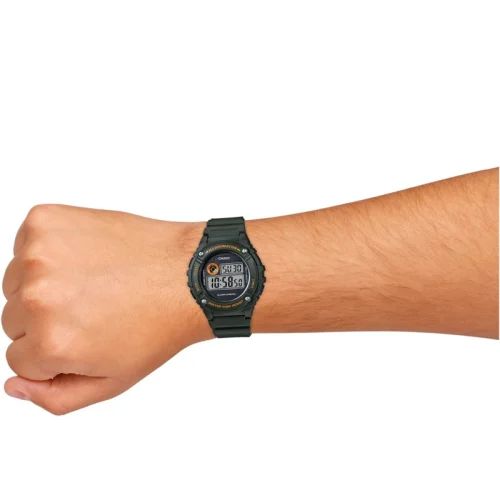 ca-W-216H-3BVDF-03