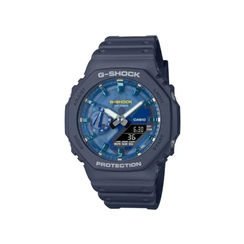 ca-GA-2100AS-2ADR-01