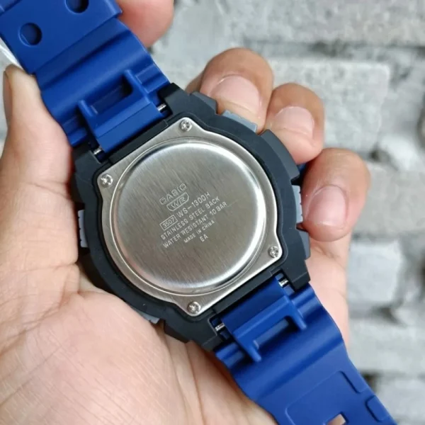 ca-WS-1300H-2AVDF-02